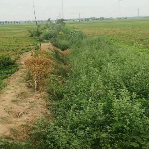 河南审计怎么样