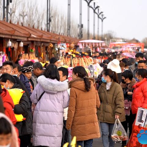 河南什么流量卡信号好用