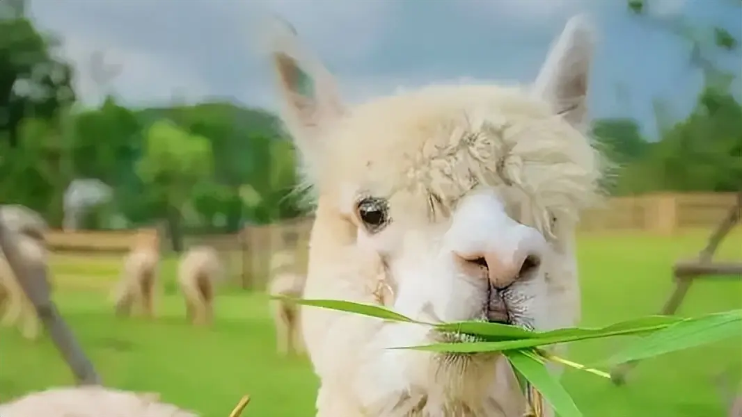 钱为什么会让人变现实 什么是让年轻人变现实