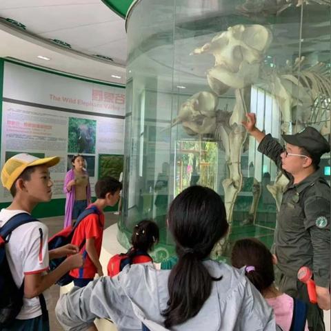 我的世界英文名（我的世界英文版的奇幻之旅）