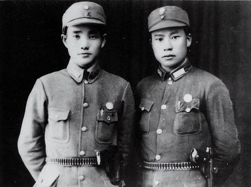 鼠宝宝姓周怎么起名(影视史上有哪些经典难忘的插曲或配乐)