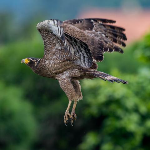 东莞市澳美物业怎么样啊