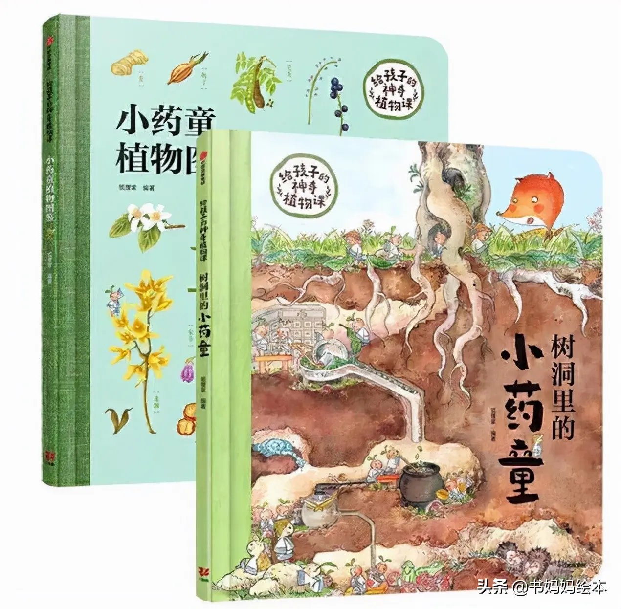 chatgpt做科普内容 chatgpt科普