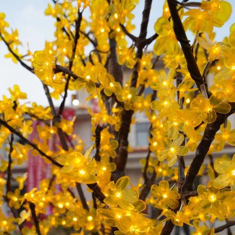 东莞市振兴路45号在哪里