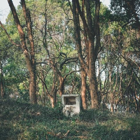 江苏无锡市人才引进补贴的长尾关键词有哪些