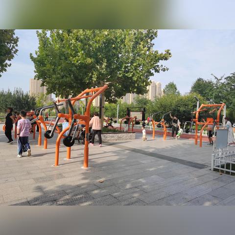 石家庄市哪个公园比较美