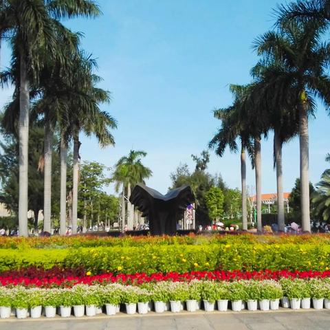 南普陀寺看厦门大学的相关长尾关键词有哪些