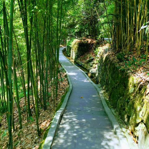 都江堰夜晚怎么回成都市区