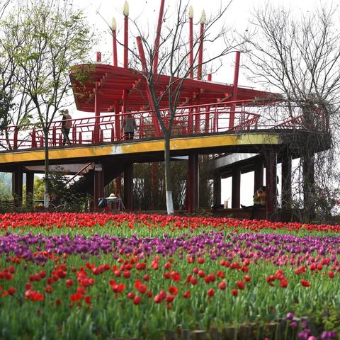 合肥到花海相关长尾关键词有哪些