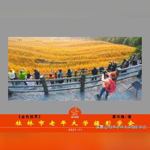 桂林市第11中怎么样了