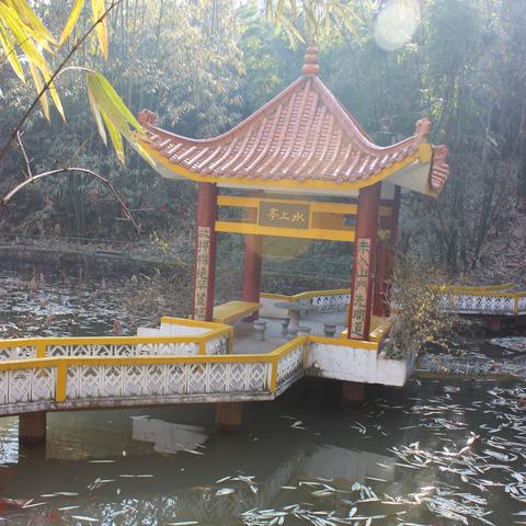 赣州市荷塘人家的长尾关键词有什么