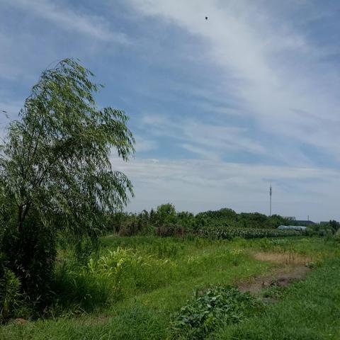 宁波市经贸职高怎么样