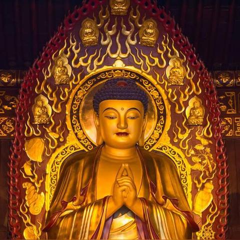 生肖吉时运势图表下载(生肖运势预告)