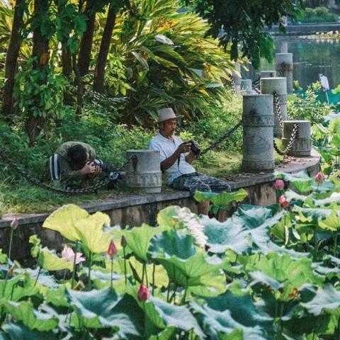 南宁市交通运输的相关长尾关键词有哪些