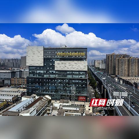 油茶长沙相关长尾关键词有哪些