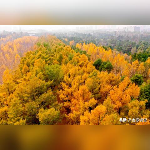 长春市二手黄金出售的长尾关键词有什么