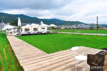 昆明市五华区乡村振兴的长尾关键词有什么