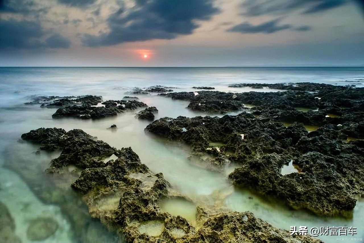 茶叶加工核心期刊目录有哪些又厚又好看的书值得一看