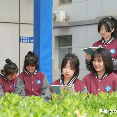 【天津中学高考录取率】相关长尾关键词有哪些