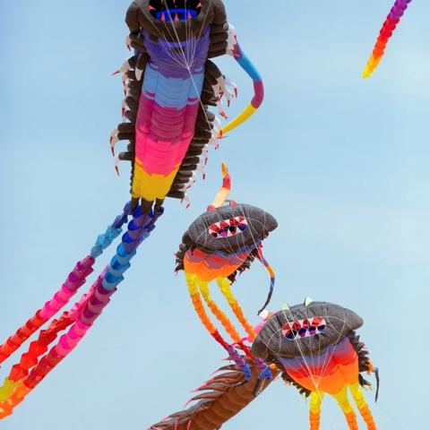 追风报价软件的长尾关键词是什么