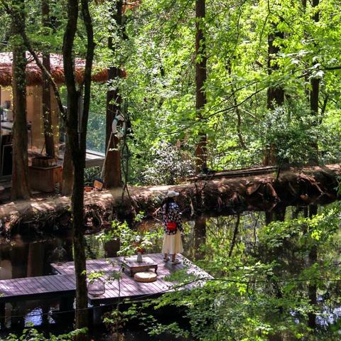 武汉市有什么避暑民宿吗