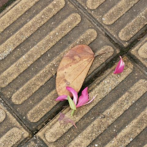 在桂林的河北老乡群相关长尾关键词有哪些