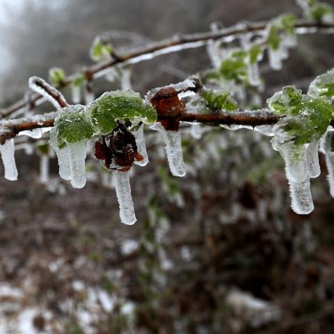 福建今年气温怎么样了呀