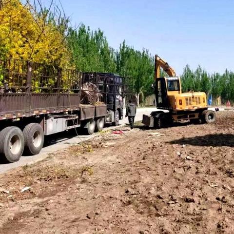 沈阳草坪价格相关长尾关键词有哪些