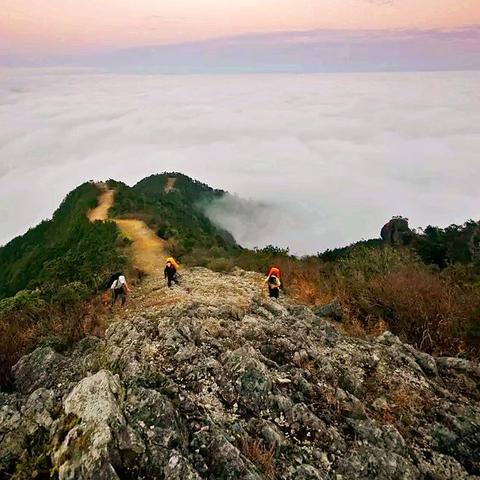 2025.11.17温州今天空气质量指数怎么样
