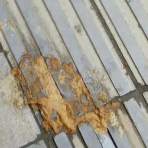 【天津喂猫遛狗】长尾关键词有什么