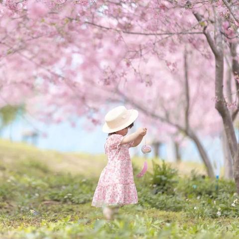 【大树妈妈儿歌,大树妈妈儿歌风来了】 【大树妈妈儿歌,大树妈妈儿歌风来了】