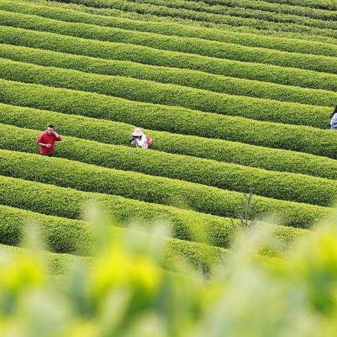 福建能化集团新任董事长？