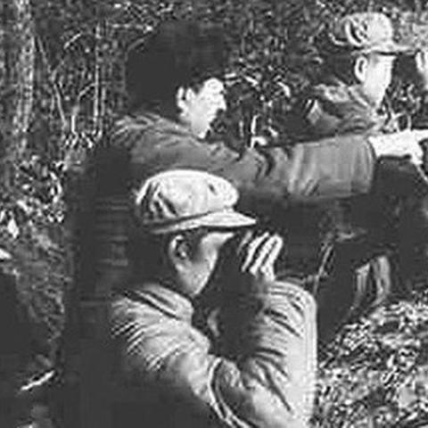 成都市地铁33号线复批的长尾关键词有哪些