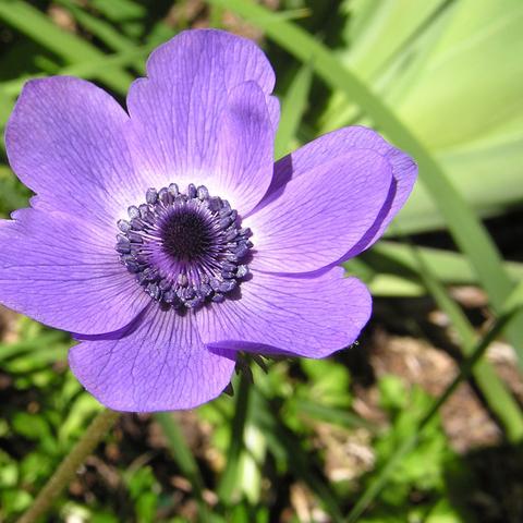 5月27日特吉生肖运势(5月27日特吉生肖运势是什么)