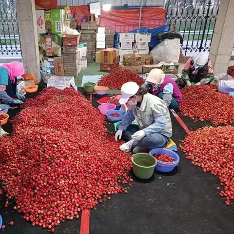 2025.12.2大连今日气温变化情况