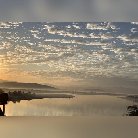 福建木材生意怎么样