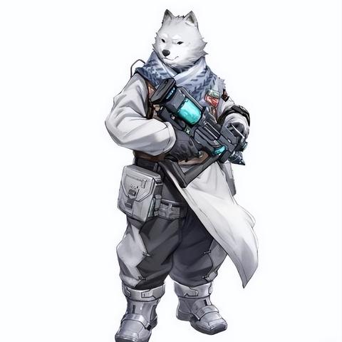 福建城市玩家的相关长尾关键词有哪些