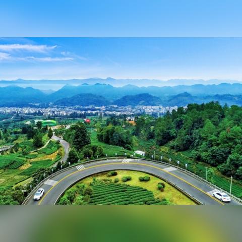 成都市文旅局怎么考