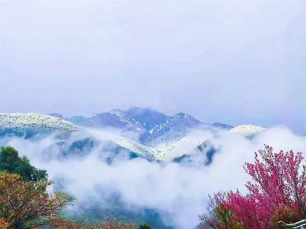 发的抖音被收录了怎么找回 作品被抖音收录了怎么删除