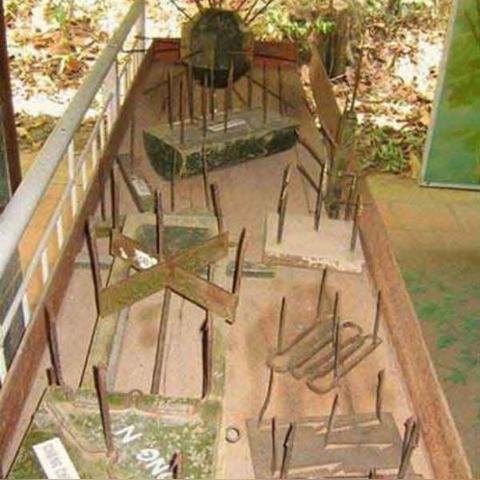 【食人蚁吃活人,食人蚁真的会死人】 【食人蚁吃活人,食人蚁真的会死人】