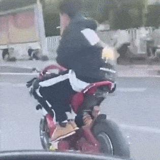 兔子能上地铁么？