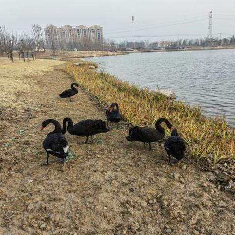 河南汝州市哪个城市好