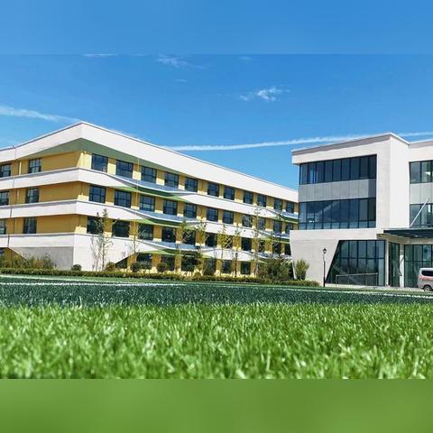 2025.11.26济南今日最新新闻有哪些