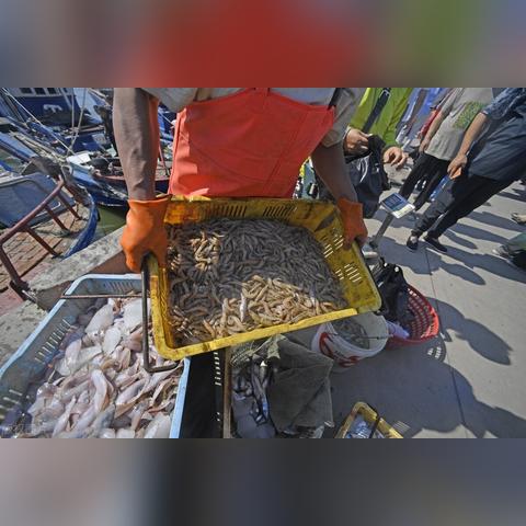 天津开海怎么样