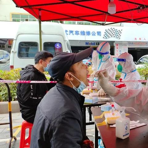 桂林市核酸检测查什么码