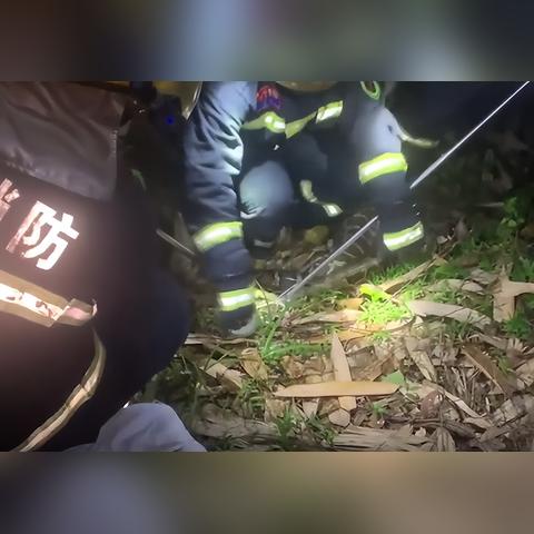 福建称重系统技术的相关长尾关键词有哪些