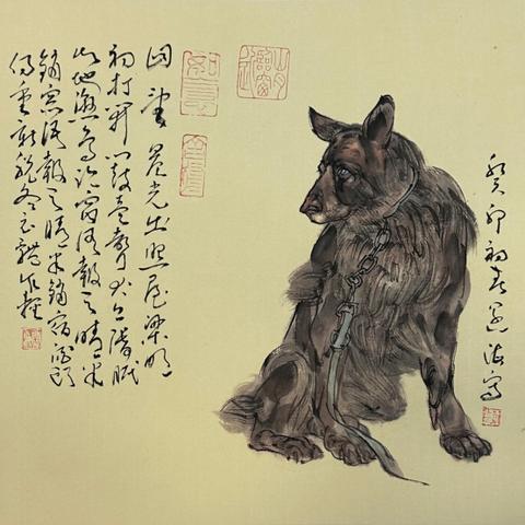 生肖虎2024年的运势大全(2024年属虎人的全年运势)