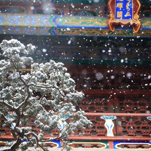 虎年兰州雪景视频的相关长尾关键词有哪些