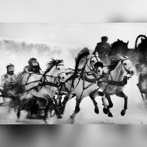 生肖马8月5日运势(今日运势8月 25日属相马运势如何)