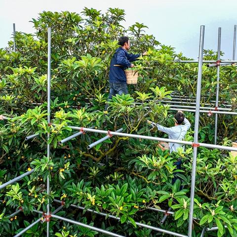 [苏州东山照片]相关长尾关键词有哪些